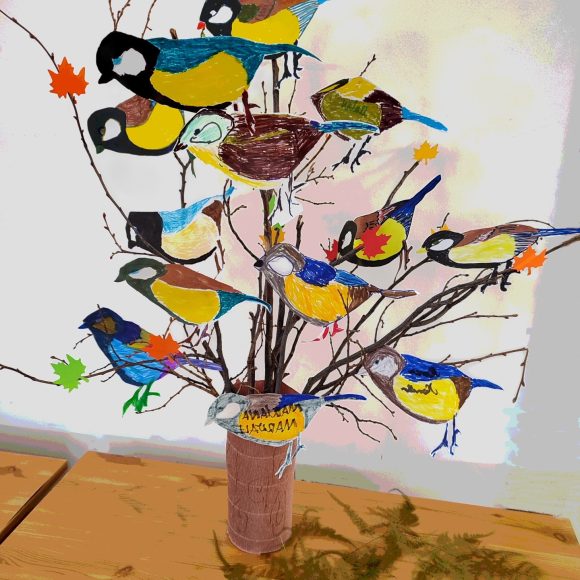 Ceata lui Pițigoi – păsări sedentare din zona Brăila