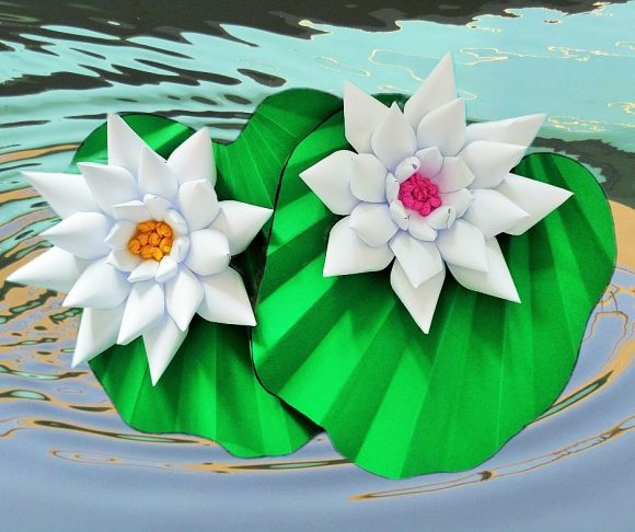 Nufărul – nobila floare a bălților